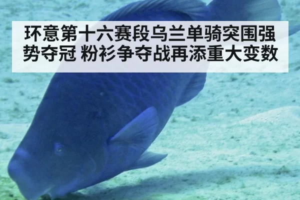 环意第十六赛段乌兰单骑突围强势夺冠 粉衫争夺战再添重大变数