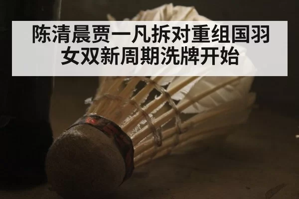陈清晨贾一凡拆对重组国羽女双新周期洗牌开始