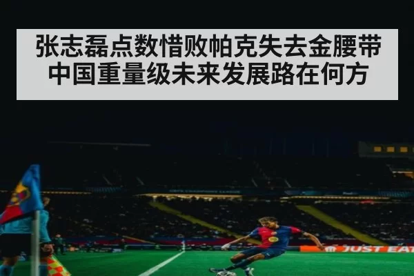 张志磊点数惜败帕克失去金腰带 中国重量级未来发展路在何方