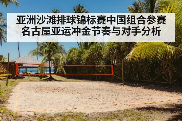 beach volleyball court sand